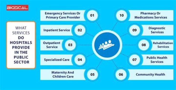 What services do Camhs provide?