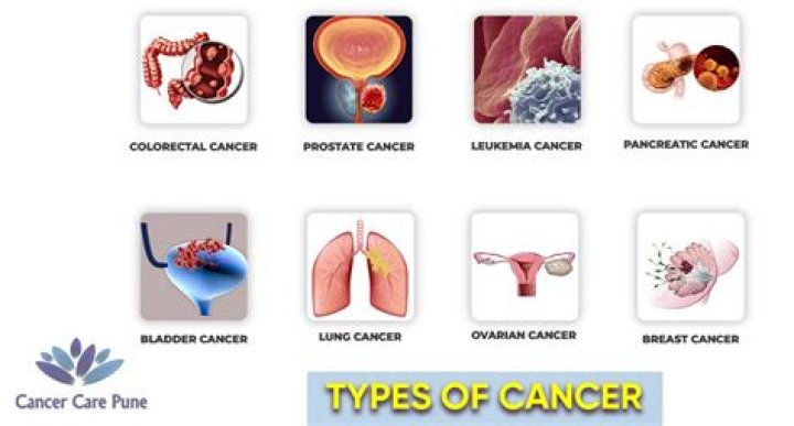What types of cancer are caused by Agent Orange?