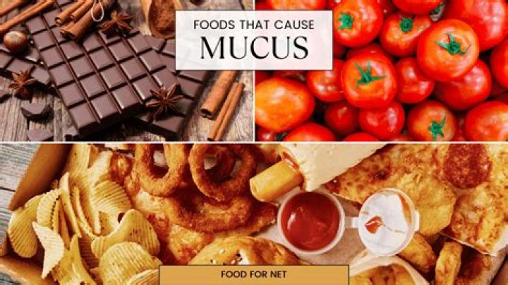 Which foods cause mucus? | ContextResponse.com