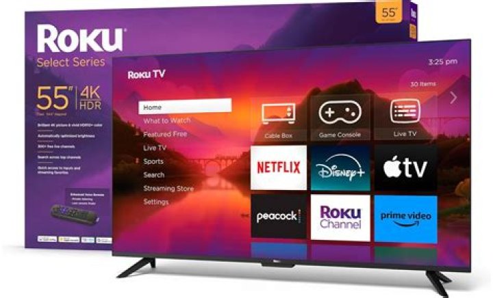 Which TV has built in Roku?