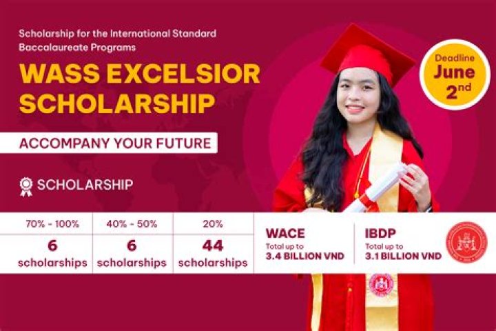 Who qualifies for the Excelsior scholarship?