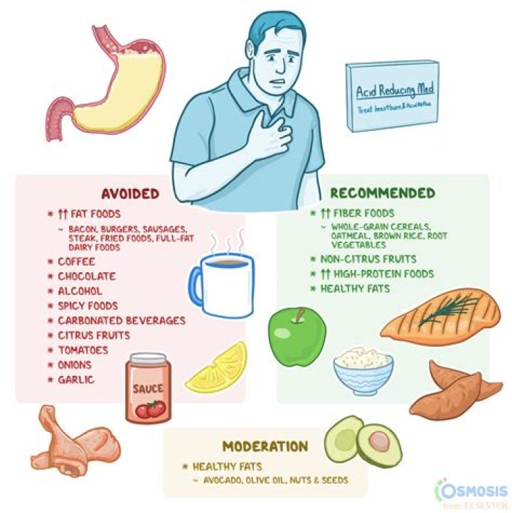 Why does greasy food make me sick?