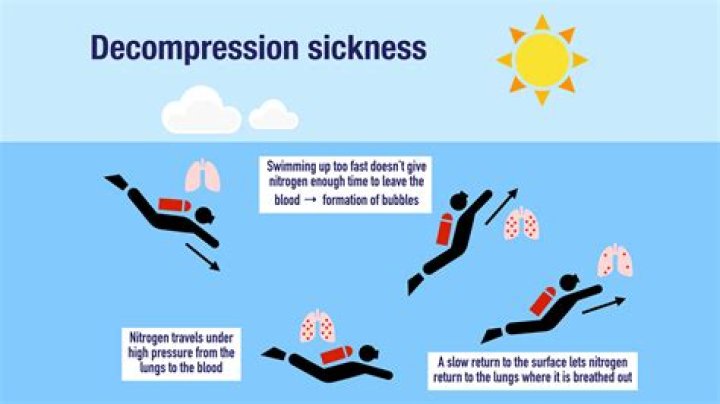 Why don t scuba divers lungs collapse as they descend?