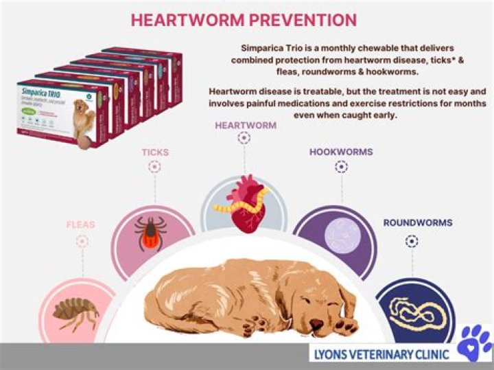 Why is heartworm treatment so expensive?